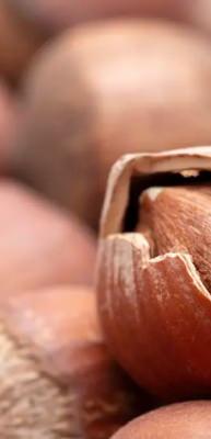 Fındık fiyatları y&uuml;kselişe ge&ccedil;ti