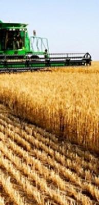 Tarım &Uuml;FE şubatta aylık bazda y&uuml;zde 0,21 arttı