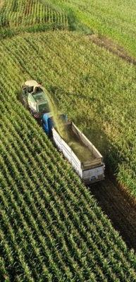 Tarımsal girdi fiyat endeksi şubatta arttı