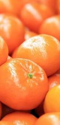 Turun&ccedil;gil ihracatı 697,7 milyon dolara ulaştı