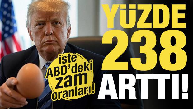Fiyatı y&uuml;zde 238 arttı! İşte ABD'deki zam oranları...