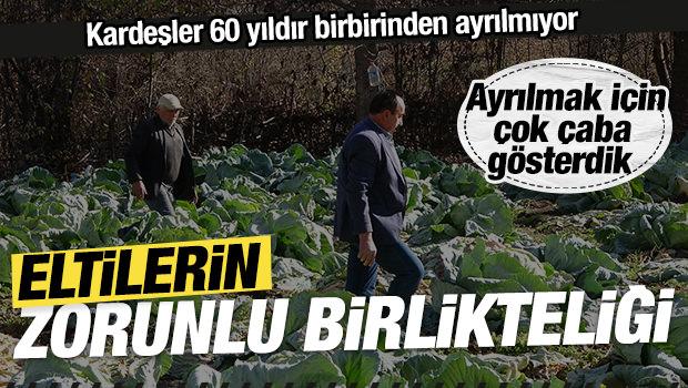 İki kardeş ayrılmadı! Eltiler zorunlu olarak anlaşmaya başladı