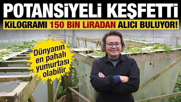 Potansiyeli keşfetti: Kilogramı 150 bin liradan alıcı buluyor!