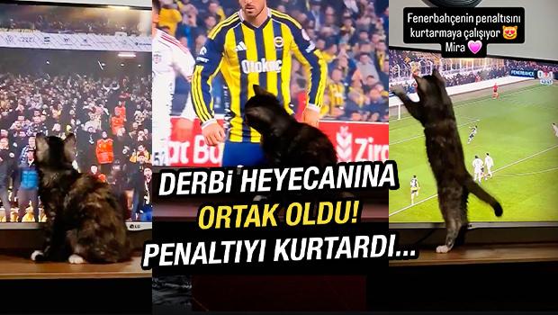  Gol&uuml; yemek istemeyen kedi ekranı tırmaladı! Derbinin en renkli anı...