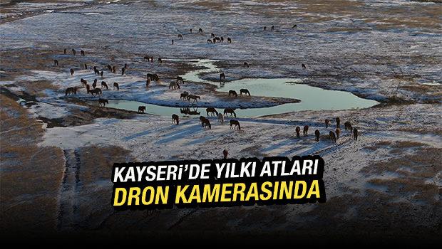H&uuml;rmet&ccedil;i Sazlığı'ndaki yılkı atları g&uuml;n batımında dronla g&ouml;r&uuml;nt&uuml;lendi
