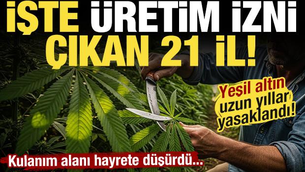 İzin &ccedil;ıktı! Karar Resmi Gazete'de: Kenevir &uuml;retimi yapılabilecek 21 il a&ccedil;ıklandı!