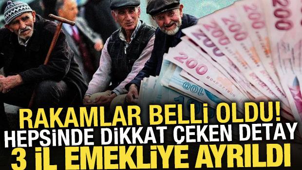 3 il emekliye ayrıldı! En fazla emeklinin olduğu iller belli oldu
