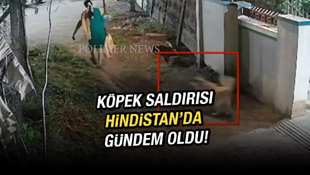 Hindistan'da k&ouml;pek saldırısı dehşeti kameralara yansıdı