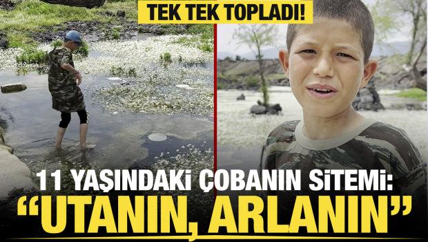 Hatay'da 11 yaşındaki &ccedil;obanı sitem ettiren manzara: Utanın, arlanın