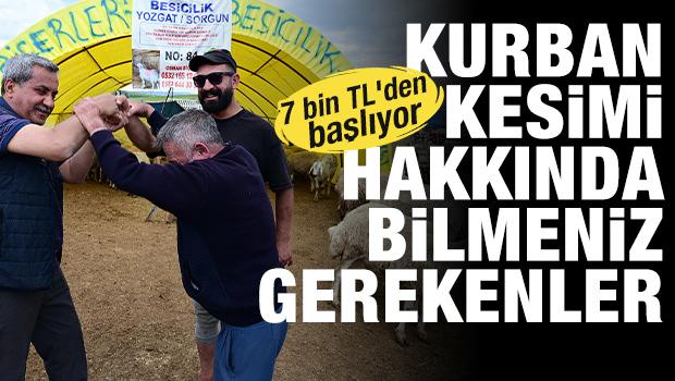 7 bin TL'den başlıyor: Vekaletle kurban kesimi hakkında bilmeniz gerekenler