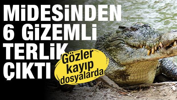 Yarım tonluk timsahın midesinden 6 terlik &ccedil;ıktı! 