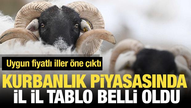 Kurbanlık piyasasında dikkat &ccedil;eken tablo: Uygun fiyatlı iller &ouml;ne &ccedil;ıktı
