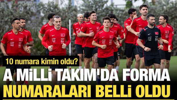 A Milli Takım'ın D&uuml;nya Kupası'ndaki forma numaraları belli oldu!
