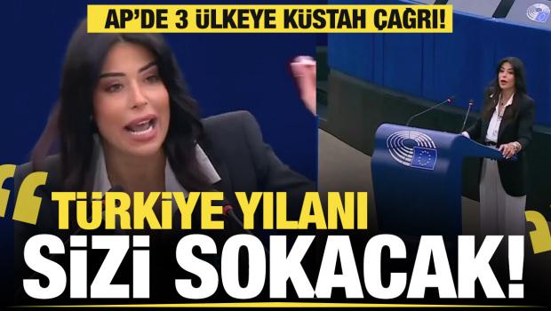 AP vekili Latinopoulou'dan 3 &uuml;lkeye k&uuml;stah &ccedil;ağrı: T&uuml;rkiye yılanı sizi sokacak!