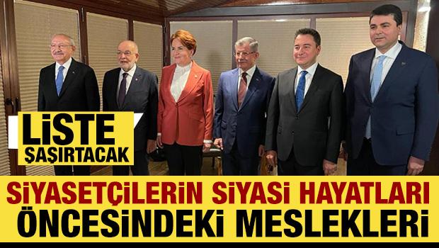 Siyaset&ccedil;ilerin siyasi hayatları &ouml;ncesindeki meslekleri