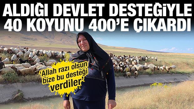 Aldıkları devlet desteği hayatlarını değiştirdi! 40'ı 400 yaptılar