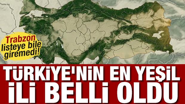 Trabzon listeye bile giremedi! T&uuml;rkiye'nin en yeşil ili belli oldu 