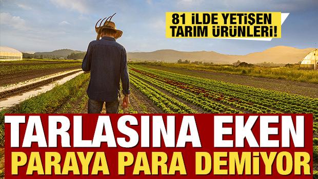 T&uuml;rkiye'nin 81 ilinde yetişen tarım &uuml;r&uuml;nleri! Tarlasına eken paraya para demiyor 