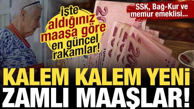 SSK, Bağ-Kur ve memur emeklileri i&ccedil;in zamlı yeni maaşlar! İşte kalem kalem maaş tablosu!