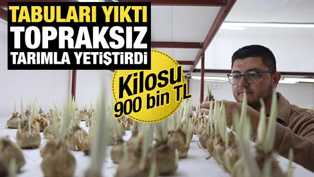 İ&ccedil; Anadolu'da &uuml;retilmez tabusunu yıktı! Topraksız tarımla 15 bin safran yetiştirdi